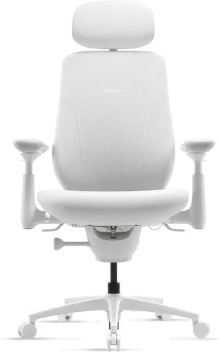 Vista 13 de LiberNovo Maxis Airflow - Silla de oficina ergonómica grande y alta