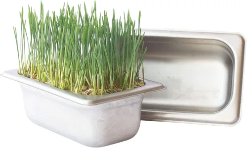 Vista 4 de Kit de cultivo de microgreens hidropónicos de acero inoxidable, kit hidropónico infinitamente reutilizable para semillas microverdes y semillas