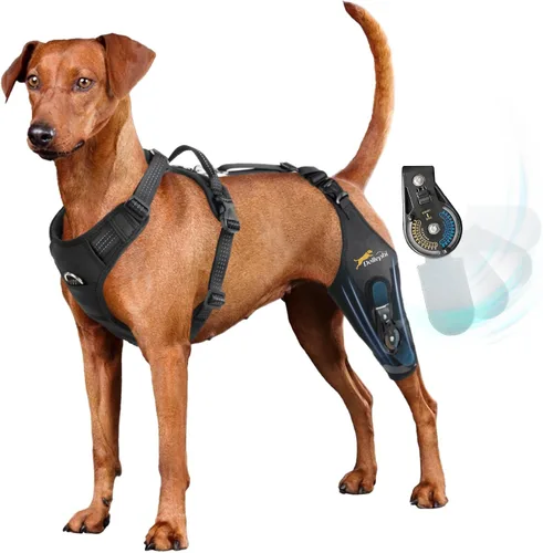 Vista 10 de Rodillera para perro para pierna trasera desgarrada, estabilizador de bisagra ajustable, pierna izquierda, L Dog back brace for Osteoarthritis