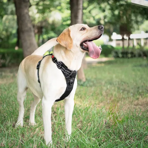 Vista 3 de PoyPet - Arnés de perro sin tirones, arnés reflectante con 2 clips delanteros y traseros y asa de fácil control para perros pequeños, medianos