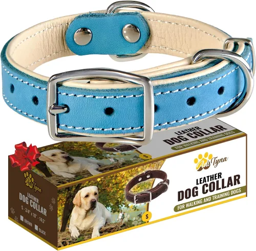 Vista 25 de ADITYNA Collar de perro de cuero negro resistente para perros pequeños, acolchado suave para mayor comodidad, collar de perro pequeño para caminar