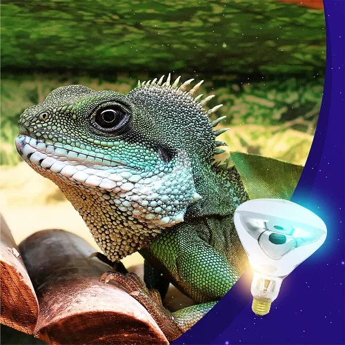 Vista 6 de lumenivo Bombilla de calor BR40 de 250 W, lámpara de calor transparente, lámpara de calor para baño, bombillas calentadoras de alimentos, bombilla