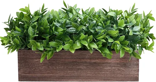 Vista 20 de Winlyn Planta de boj artificial de 14 pulgadas, arreglo de vegetación de boj sintético en negro, maceta rectangular de madera en maceta, planta