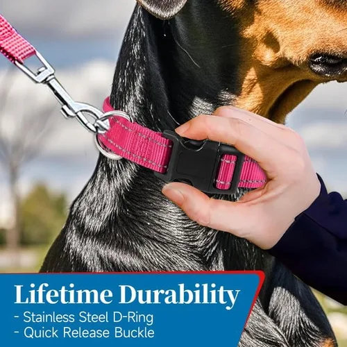 Vista 4 de Collares de perro personalizados, collar de perro bordado reflectante personalizado con nombre y números de teléfono, nailon suave ajustable