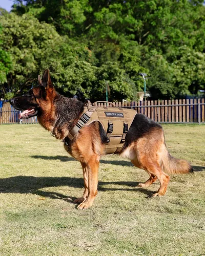 Vista 6 de Arnés táctico para perros - PETNANNY Chaleco para perro de servicio para perros grandes Cobertura corporal completa en arnés para perros de Rosa