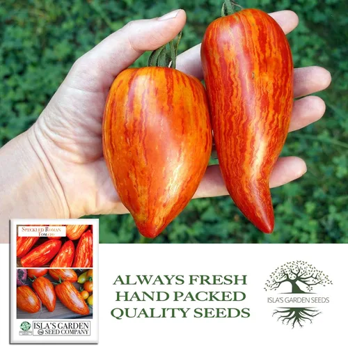 Vista 4 de Semillas de tomate romano moteadas (Lycopersicon lycopersicum) – Más de 100 semillas tradicionales sin OMG de Isla's Garden Seeds, pasta a rayas