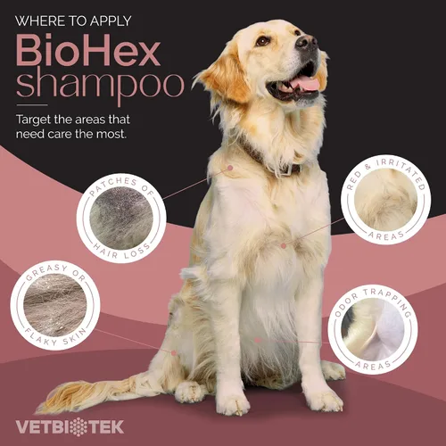 Vista 5 de BioHex - Champú para perros, gatos y caballos, limpieza profunda sin jabón, 16 onzas Chlorhexidine & Miconazole, MicroSilver BG, Ceramide 3