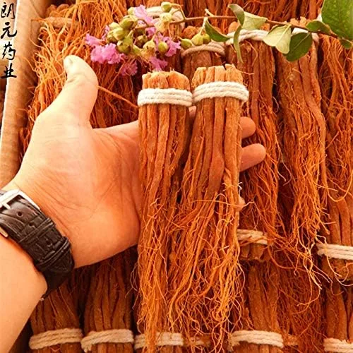 Vista 3 de Raíces rojas de ginseng coreano - Piezas de raíz entera - Raíces rojas de ginseng Panax 3.53 oz