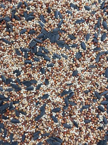 Vista 3 de Mezcla especial sin maíz de semillas de aves silvestres (bolsa de 25 libras)