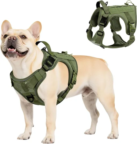 Vista 21 de VavoPaw cinturón de seguridad para perro, arnés de coche con hebilla ajustable para perro, cinturón de seguridad de nailon para mascotas, resistente