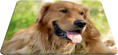 Vista 4 de Alfombrilla de mouse para juegos de perros, con tema Golden Retriever, alfombrilla de mouse para computadora, escritorio, laptop, oficina, 9.5 x 7.9