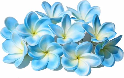Vista 13 de 10 flores artificiales de plumeria con tallo, albaricoque