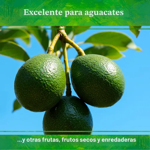 Vista 7 de Down To Earth All Natural Fertilizers Mezcla orgánica de cítricos - Alimento vegetal para limones, limas, naranjas y aguacates 6-3-3, 1 lb