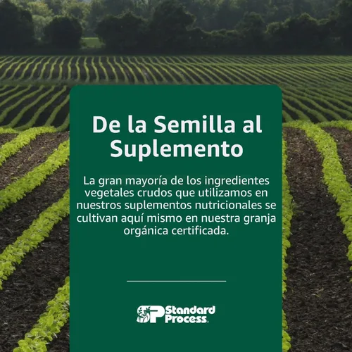 Vista 7 de Standard Process Antronex - Suplemento integral para el sistema inmunológico y salud hepática con calcio - 180 tabletas