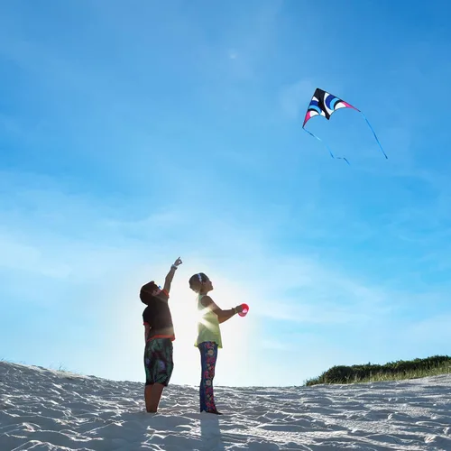 Vista 3 de Delta Kite para niños y adultos, fácil de volar, cometa de playa grande de una sola línea con mango de cuerda de 300 pies incluido, perfecta