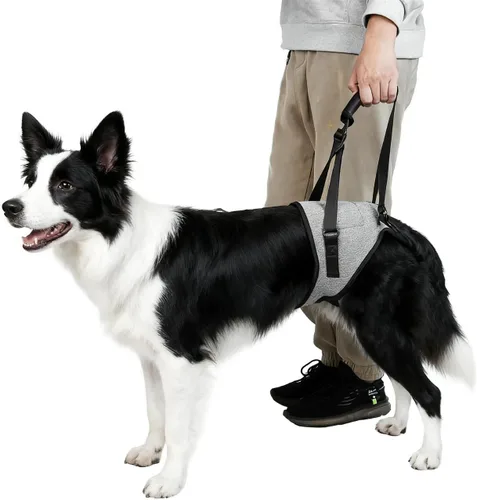 Vista 2 de Arnés de elevación para perros, arnés de soporte para patas traseras, arnés de soporte trasero ajustable, color gris, pequeño