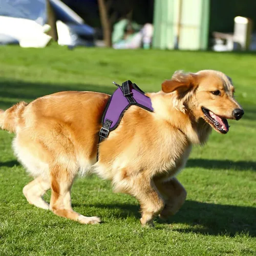 Vista 11 de Arnés ajustable reflectante sin tirones con asa para perro, chaleco Oxford duradero sin estrangulamiento, arnés fácil de poner para perros pequeños