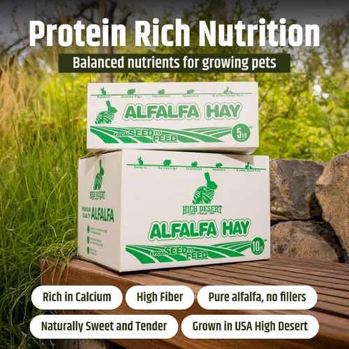 Vista 2 de High Desert Heno de alfalfa, alimento de hojas blandas rico en proteínas para animales jóvenes en crecimiento, alimento natural para conejos y heno