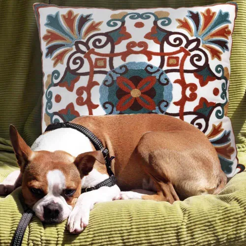 Vista 6 de Juego de 2 fundas de almohada decorativas para sofá de 18 x 18 pulgadas, con patrón bordado para sala de estar, sofá, cama, silla