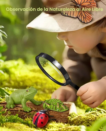 Vista 6 de JoyCat Juguetes Educativos de Aprendizaje del Ciclo de Vida, Kit de Oruga de Insecto a Mariposa, Mariquita, Abeja, Kit de Renacuajo a Rana, Juguetes