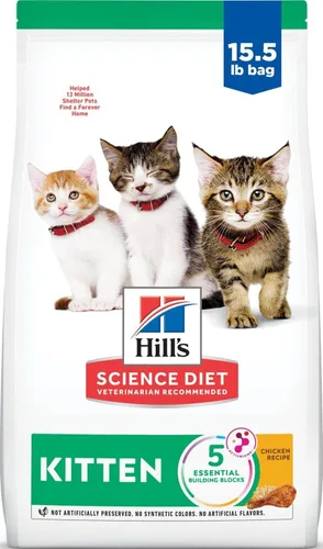 Vista 12 de Alimento seco para gatos para un desarrollo sano Hill's Science Diet Kitten
