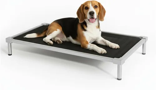Vista 10 de Camas elevadas para perros a prueba de mordidas, tamaño mediano y grande, suministros de aleación de aluminio para perros, cuna elevada para enfriar