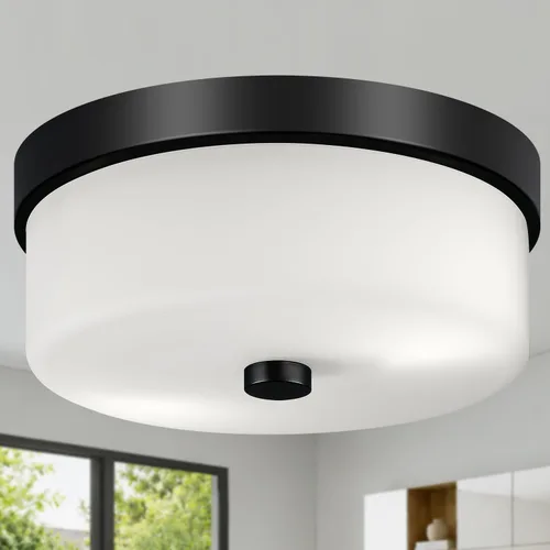 Vista 16 de Lámparas de techo de montaje empotrado, 2 luces de 12 pulgadas de níquel cepillado cerca de las lámparas de techo con pantalla de vidrio semillado
