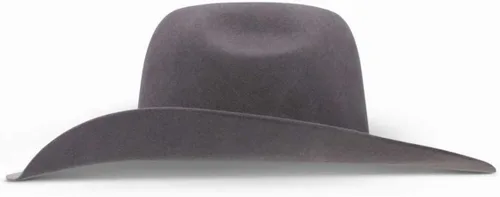 Vista 2 de Resistol Hooey Grey 4X Day Money Hat