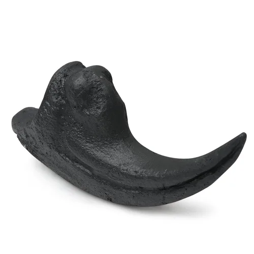 Vista 4 de Dientes fosilizados y garras de varios dinosaurios prehistóricos, dientes de tiburón megalodón y réplicas de alta fidelidad (garra de Allosaurus)