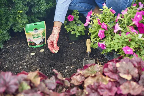 Vista 5 de Miracle-Gro Tabletas de siembra de inicio rápido, 20 tabletas Fertilizante de inicio de plantas para trasplantes de flores, verduras y plantas
