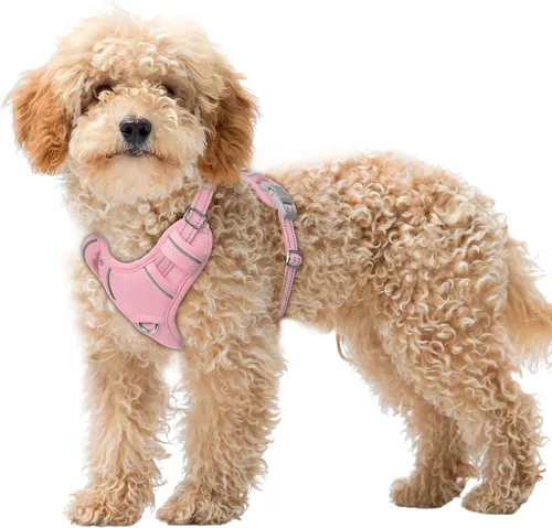 Vista 70 de BARKBAY Arnés para Perro Sin Tirones Talla Grande Arnés Reflectante para Perro con Clip Frontal y Asa de Control Fácil para Caminar Entrenar Correr