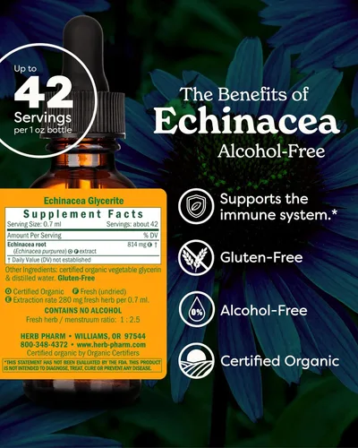 Vista 2 de Herb Pharm equinácea orgánica sin alcohol para defensa inmune - 1 onza., GLECH01, 1 Ounce, 1, 1