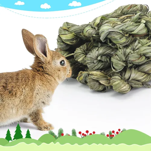 Vista 6 de Timothy - Juguetes masticables de heno para masticar, 12 piezas, bocadillos dentales naturales para conejos, conejitos y mascotas pequeñas