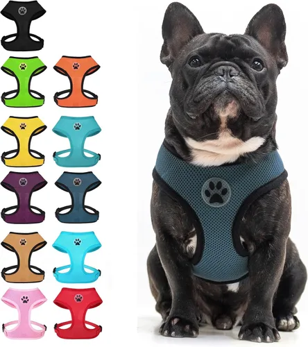 Vista 27 de BINGPET Arnés para perro sin tirones, arnés de chaleco tipo step-in de malla para todo clima para perros pequeños, arnés de malla transpirable