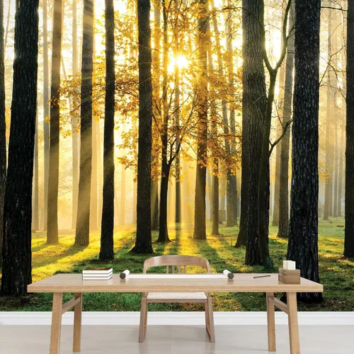 Vista 3 de wall26 A Peaking View Through The Forest of the Morning Sunrise, mural de pared, calcomanía extraíble, decoración del hogar, 66x96 pulgadas Obra