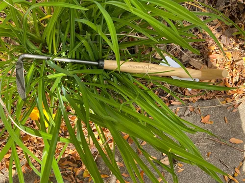 Vista 3 de DeWit Cape Cod Weeder con mango P-Grip, mano izquierda