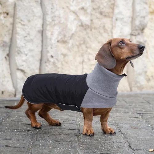 Vista 6 de Abrigo de perro salchicha para perro salchicha Corgi Weiner reversible, abrigo de invierno acolchado con forro de algodón de cuello alto, traje