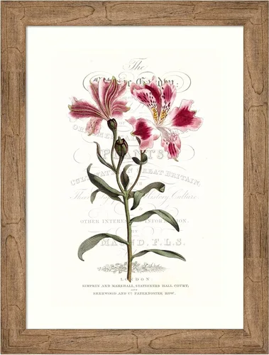 Vista 16 de Amanti Art Vision Studio - Lienzo decorativo para pared, 24 x 18 pulgadas, varietales de jardín de flores, arte de pared de flores, decoración