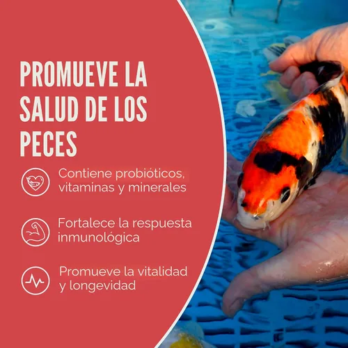 Vista 6 de Blue Ridge comida para peces Koi 2 libras - Fórmula de crecimiento mini para peces Koi, comida para peces dorados, comida premium para peces