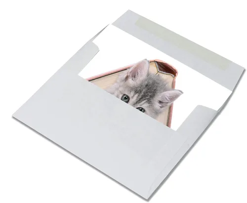 Vista 4 de Tarjetas divertidas de gatito, paquete de 12 tarjetas divertidas de notas de gato con sobres, 4 divertidos diseños de fotos, interior en blanco