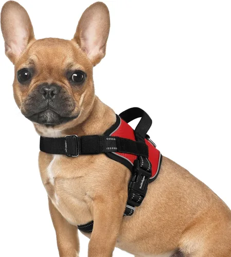 Vista 23 de rabbitgoo Arnés para perro pequeño, chaleco fácil de poner para mascotas con una hebilla, arnés de servicio ajustable sin tirones con anillo en D