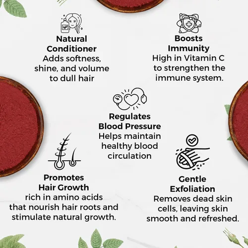 Vista 8 de CARMEL ORGANICS Pétalos de hibisco en polvo, 8 onzas o 0.5 libras (paquete de 1) Certificado USDA orgánico Sin OMG y sin gluten Rico