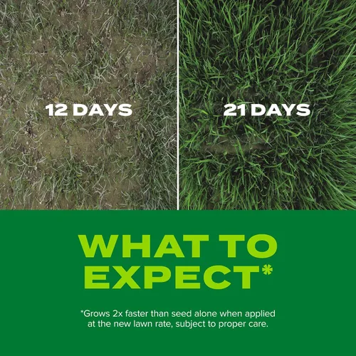 Vista 6 de Scotts Turf Builder Rapid Grass Sun & Shade Mix, 10 lbs.