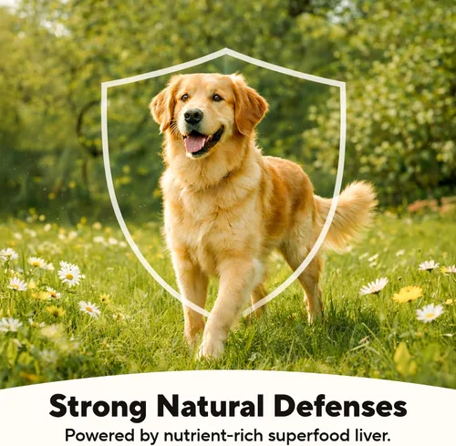 Vista 5 de Dave's Pet Food Stewlicoius - Alimento húmedo para perros sin cereales (Turkey & Sweet Potato en salsa), fabricado en Estados Unidos naturalmente