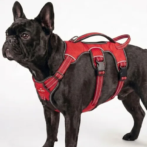 Vista 13 de Tuff Pupper Arnés para perro sin escape a prueba de escape, arnés ajustable de 5 puntos para perros, arneses acolchados para perros, arneses