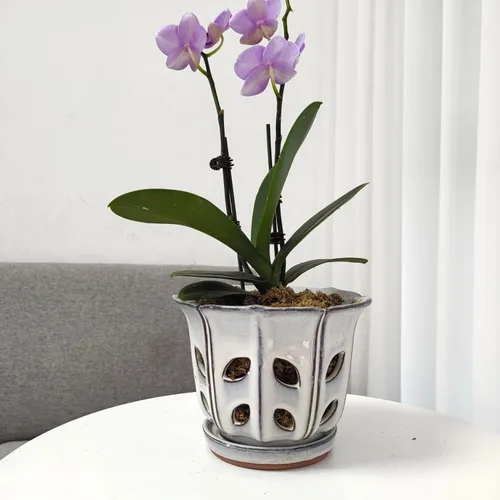 Vista 6 de Macetas de orquídeas con agujeros de 6 pulgadas de cerámica para orquídeas con platillo adjunto y orificio de drenaje (blanco)