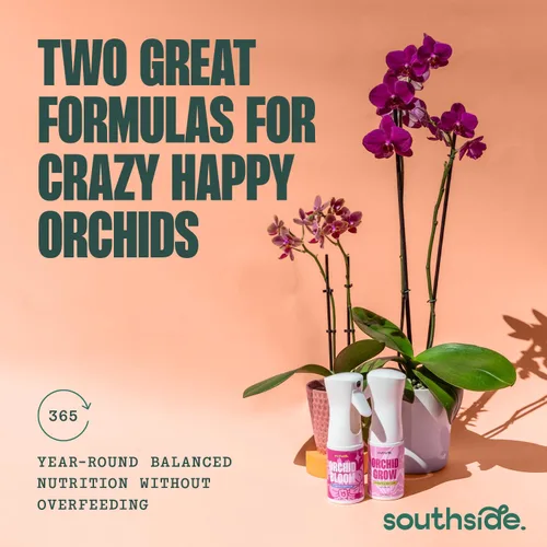Vista 2 de Fertilizante Orchid Bloom de Southside – 16 onzas – Fomenta las flores con nutrición y humedad precisas – Fórmula suave, espray continuo premium