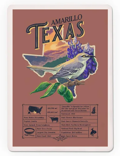 Vista 3 de Lantern Press Amarillo, Texas, Facts About, State Series, 52 Playing Cards for Adults, Poker Size Card Deck