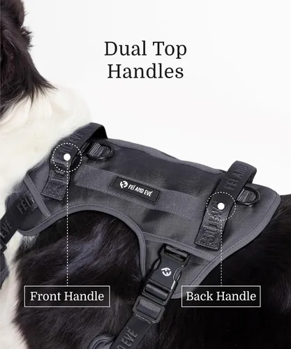 Vista 5 de Fei & Eve - Arnés para perro, sin tirones, nailon duradero, doble asa, panel táctico, pequeño (negro) 3-Point No-Pull Control, Dual Handle