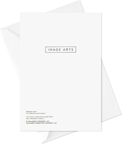 Vista 8 de Image Arts Surtido de tarjetas de Navidad religiosas en caja, paz en la tierra (4 diseños, 24 tarjetas con sobres)